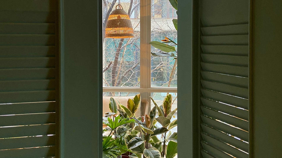 A green wooden door that opens onto a room with indoor plants in a brown pot made from organic materials by the window.